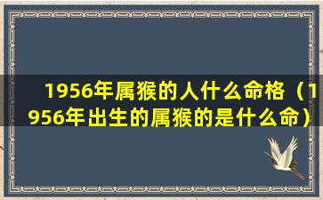 1956年属猴的人什么命格（1956年出生的属猴的是什么命）