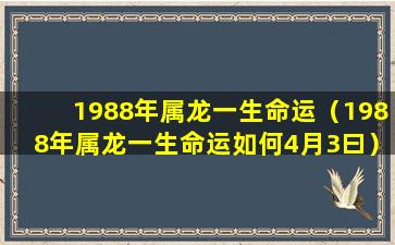 1988年属龙一生命运（1988年属龙一生命运如何4月3曰）