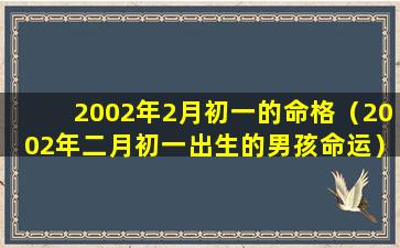 2002年2月初一的命格（2002年二月初一出生的男孩命运）