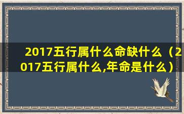 2017五行属什么命缺什么（2017五行属什么,年命是什么）