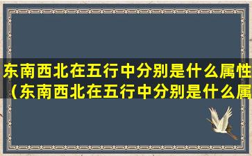 东南西北在五行中分别是什么属性（东南西北在五行中分别是什么属性和属性）