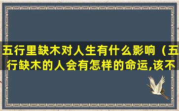 五行里缺木对人生有什么影响（五行缺木的人会有怎样的命运,该不该补呢）