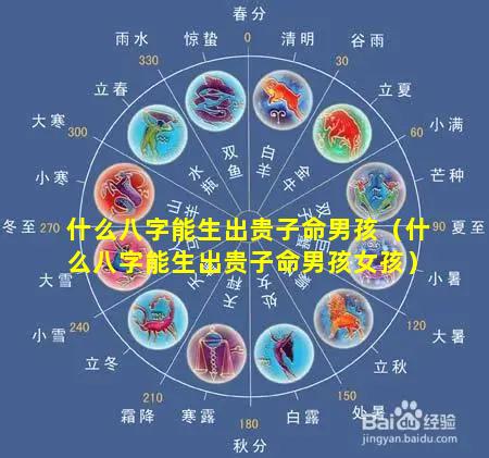 什么八字能生出贵子命男孩（什么八字能生出贵子命男孩女孩）