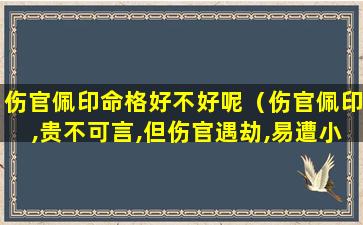 伤官佩印命格好不好呢（伤官佩印,贵不可言,但伤官遇劫,易遭小人陷害）