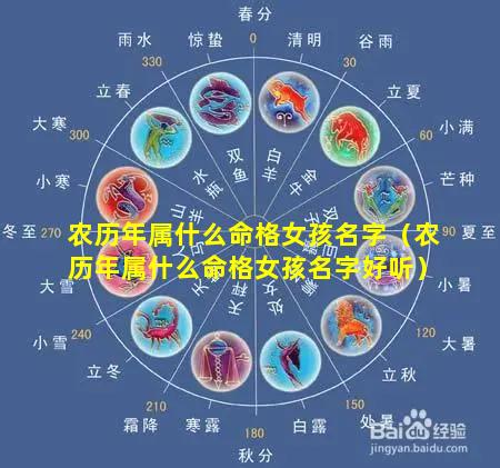 农历年属什么命格女孩名字（农历年属什么命格女孩名字好听）