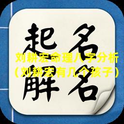 刘耕宏命理八字分析（刘耕宏有几个孩子）