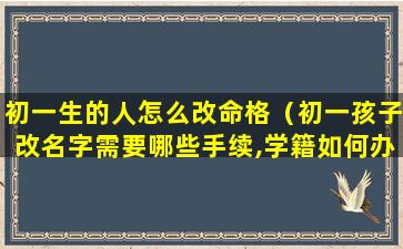 初一生的人怎么改命格（初一孩子改名字需要哪些手续,学籍如何办理）