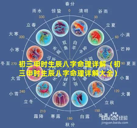 初三申时生辰八字命理详解（初三申时生辰八字命理详解大全）