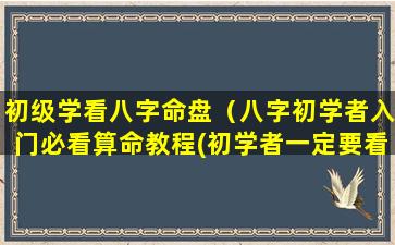 初级学看八字命盘（八字初学者入门必看算命教程(初学者一定要看!)）