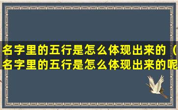 名字里的五行是怎么体现出来的（名字里的五行是怎么体现出来的呢）