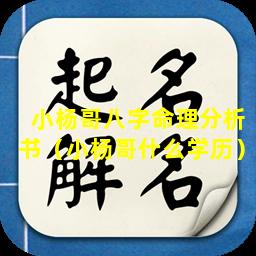 小杨哥八字命理分析书（小杨哥什么学历）