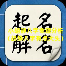 小胡静八字命理分析（胡静八字有点大头）