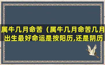 属牛几月命苦（属牛几月命苦几月出生最好命运是按阳历,还是阴历看）