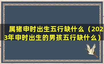 属猪申时出生五行缺什么（2023年申时出生的男孩五行缺什么）