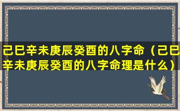 己巳辛未庚辰癸酉的八字命（己巳辛未庚辰癸酉的八字命理是什么）