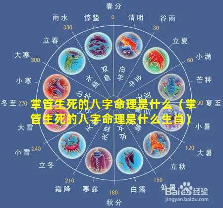 掌管生死的八字命理是什么（掌管生死的八字命理是什么生肖）