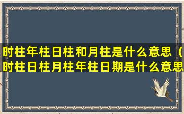 时柱年柱日柱和月柱是什么意思（时柱日柱月柱年柱日期是什么意思）