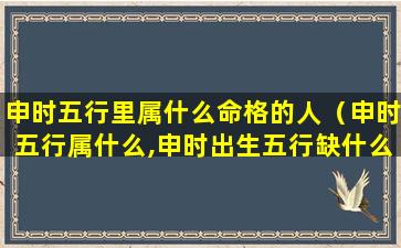申时五行里属什么命格的人（申时五行属什么,申时出生五行缺什么）