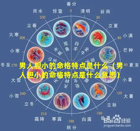 男人胆小的命格特点是什么（男人胆小的命格特点是什么意思）