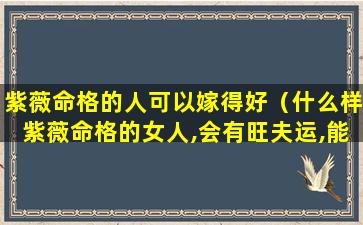紫薇命格的人可以嫁得好（什么样紫薇命格的女人,会有旺夫运,能够夫荣子贵）
