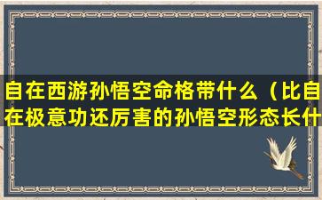 自在西游孙悟空命格带什么（比自在极意功还厉害的孙悟空形态长什么样）