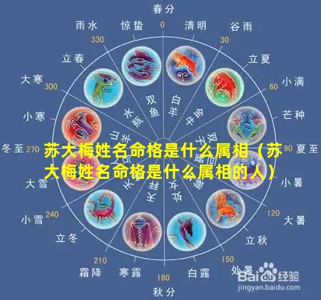 苏大梅姓名命格是什么属相（苏大梅姓名命格是什么属相的人）