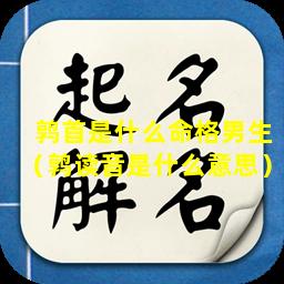 鹑首是什么命格男生（鹑读音是什么意思）