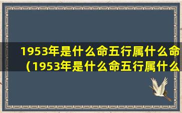 1953年是什么命五行属什么命（1953年是什么命五行属什么命的）
