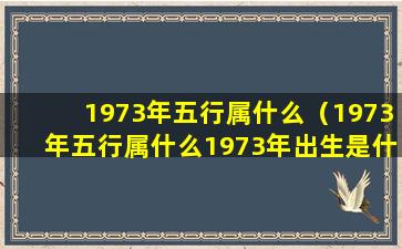 1973年五行属什么（1973年五行属什么1973年出生是什么命）