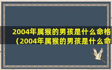 2004年属猴的男孩是什么命格（2004年属猴的男孩是什么命格和命运）