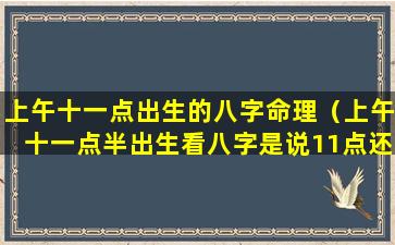 上午十一点出生的八字命理（上午十一点半出生看八字是说11点还是12点）