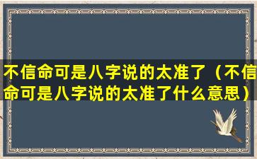 不信命可是八字说的太准了（不信命可是八字说的太准了什么意思）