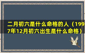 二月初六是什么命格的人（1997年12月初六出生是什么命格）