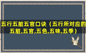 五行五脏五官口诀（五行所对应的五脏,五官,五色,五味,五季）