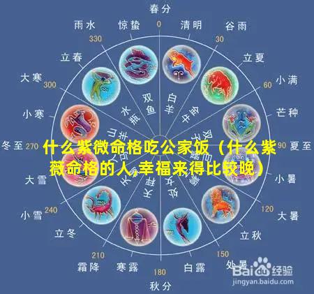 什么紫微命格吃公家饭（什么紫薇命格的人,幸福来得比较晚）