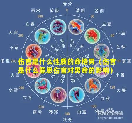 伤官是什么性质的命格男（伤官是什么意思伤官对男命的影响）