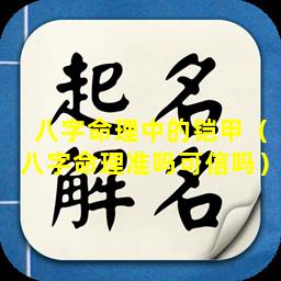 八字命理中的铠甲（八字命理准吗可信吗）