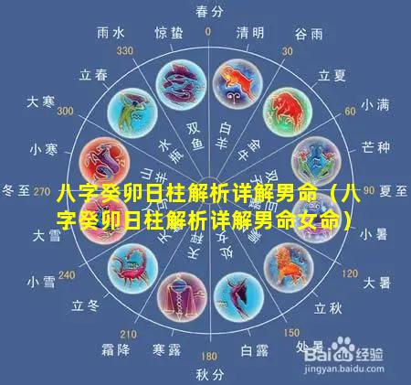 八字癸卯日柱解析详解男命（八字癸卯日柱解析详解男命女命）