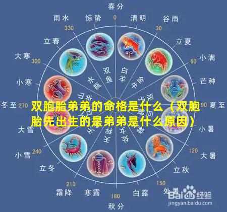 双胞胎弟弟的命格是什么（双胞胎先出生的是弟弟是什么原因）