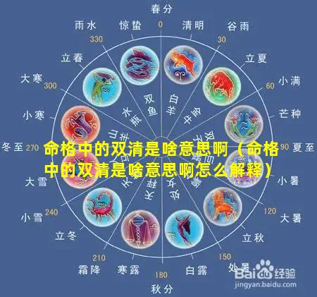 命格中的双清是啥意思啊（命格中的双清是啥意思啊怎么解释）