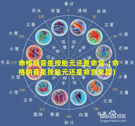 命格纳音是按胎元还是命宫（命格纳音是按胎元还是命宫来算）