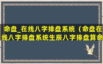 命盘_在线八字排盘系统（命盘在线八字排盘系统生辰八字排盘算命易奇八字）