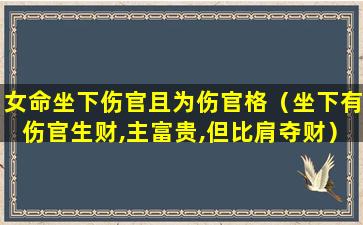女命坐下伤官且为伤官格（坐下有伤官生财,主富贵,但比肩夺财）
