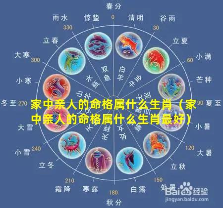家中亲人的命格属什么生肖（家中亲人的命格属什么生肖最好）