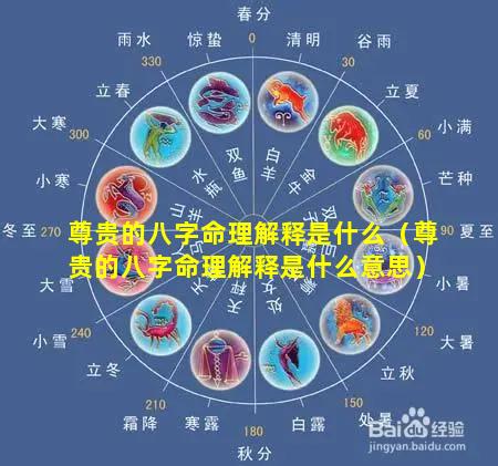 尊贵的八字命理解释是什么（尊贵的八字命理解释是什么意思）