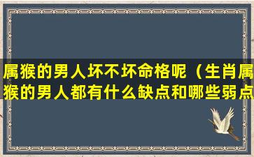 属猴的男人坏不坏命格呢（生肖属猴的男人都有什么缺点和哪些弱点）