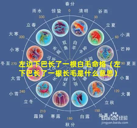 左边下巴长了一根白毛命格（左下巴长了一根长毛是什么意思）