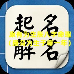 康有为生辰八字命理（康有为生于哪一年）
