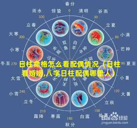 日柱命格怎么看配偶情况（日柱看婚姻,八字日柱配偶哪里人）