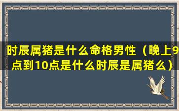 时辰属猪是什么命格男性（晚上9点到10点是什么时辰是属猪么）